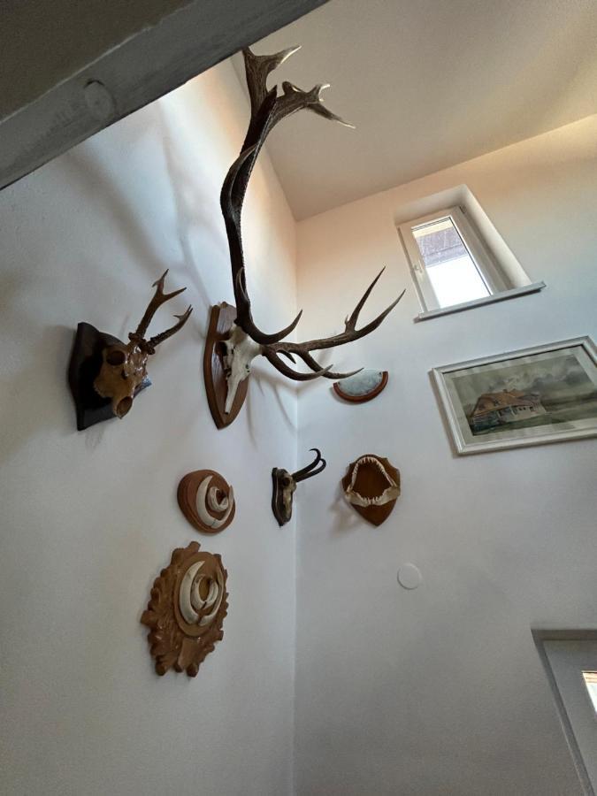 Casa Bunicilor Villa Colonia Sase Martie Luaran gambar